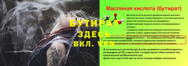 шишки Михайловск