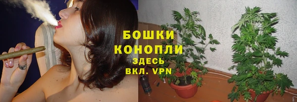 мдпв Медвежьегорск