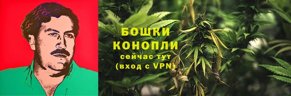 шишки Михайловск