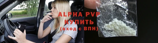 шишки Михайловск