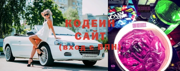 шишки Михайловск