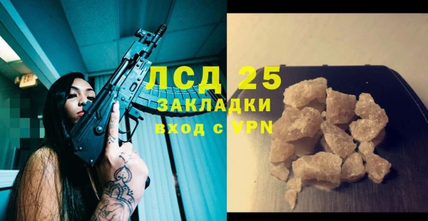 шишки Михайловск