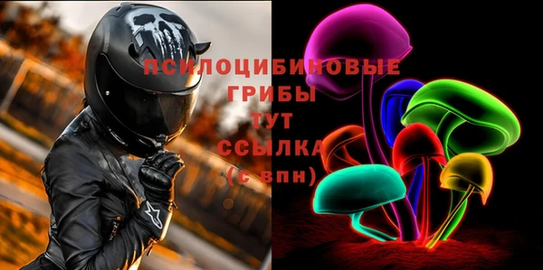 шишки Михайловск