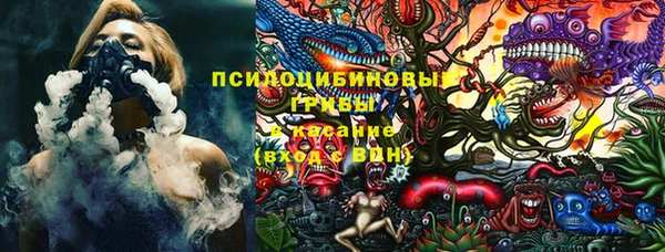 шишки Михайловск