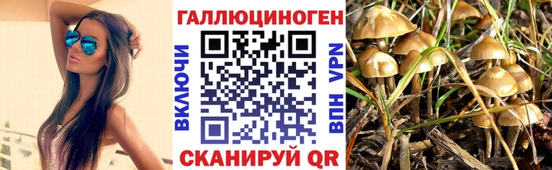 Галлюциногенные грибы мицелий  Купить  Ленинск 